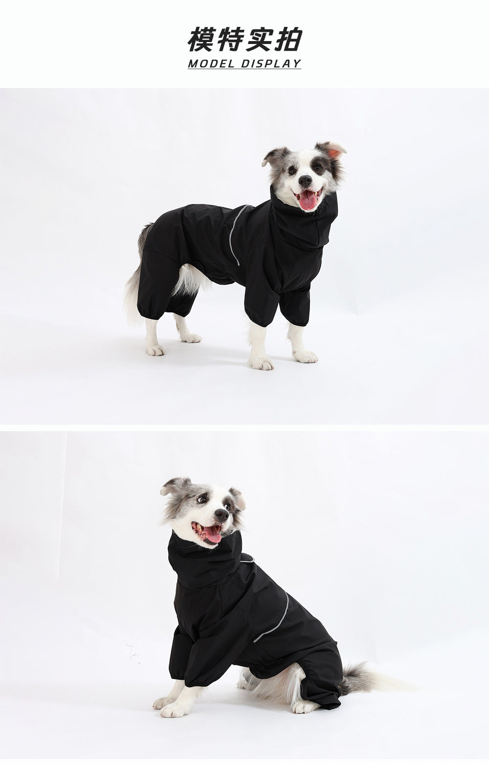 Dog Raincoats